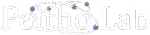 pbig